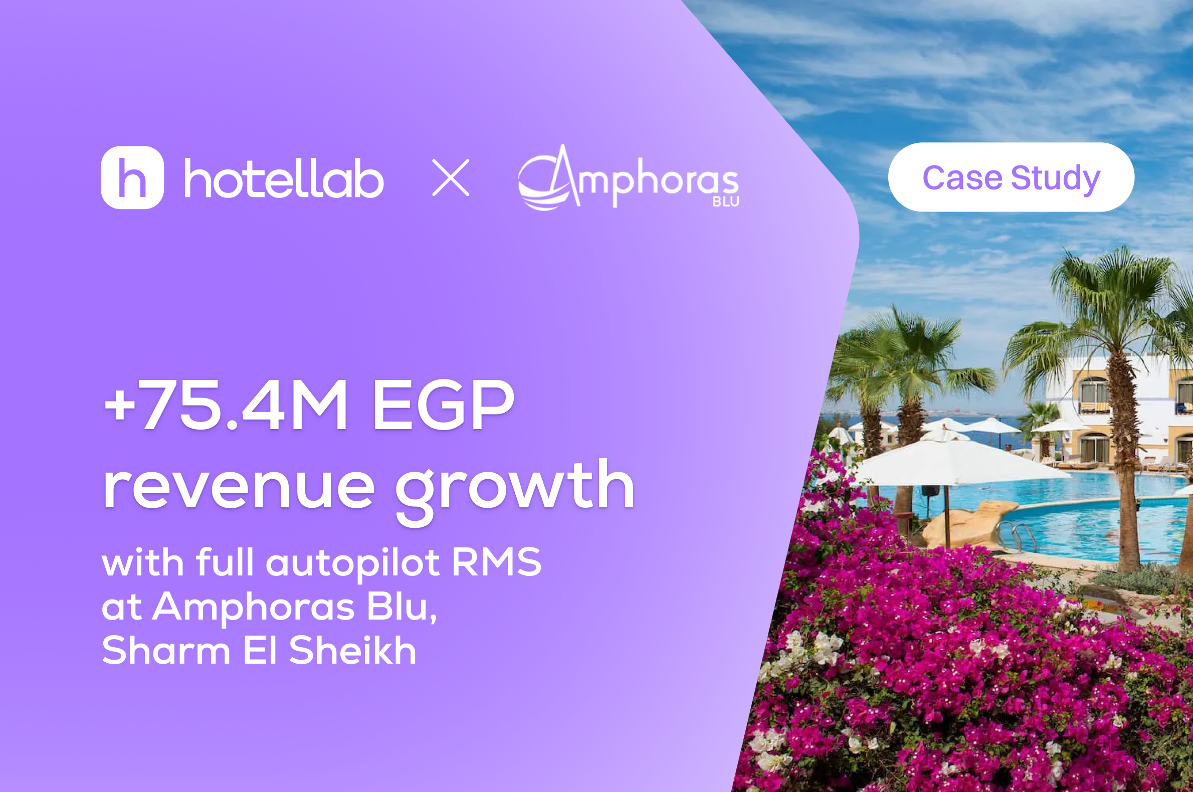 +75.4M EGP revenue growth with full autopilot RMS