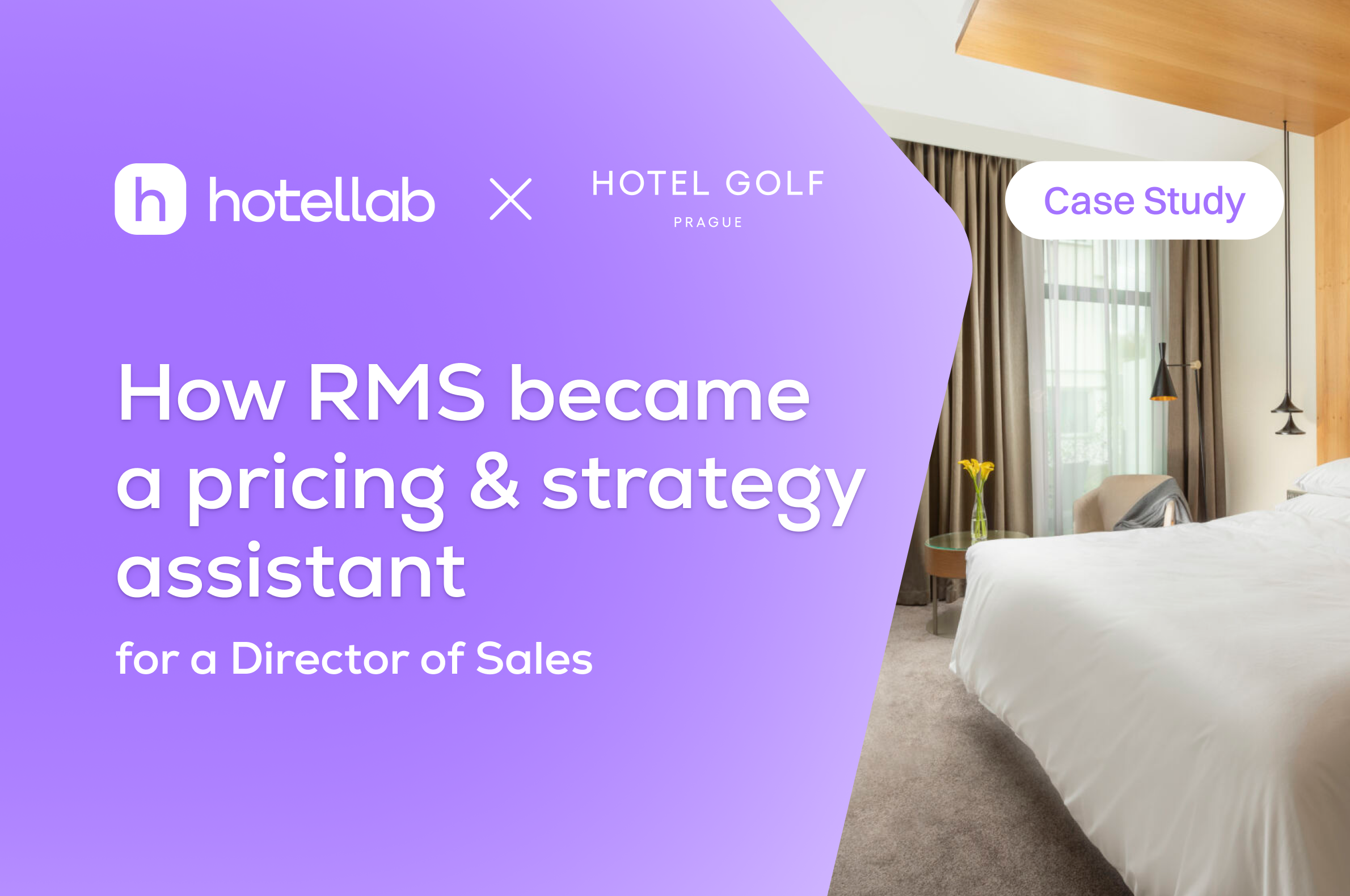 How RMS became a pricing & strategy assistant for a Director of Sales